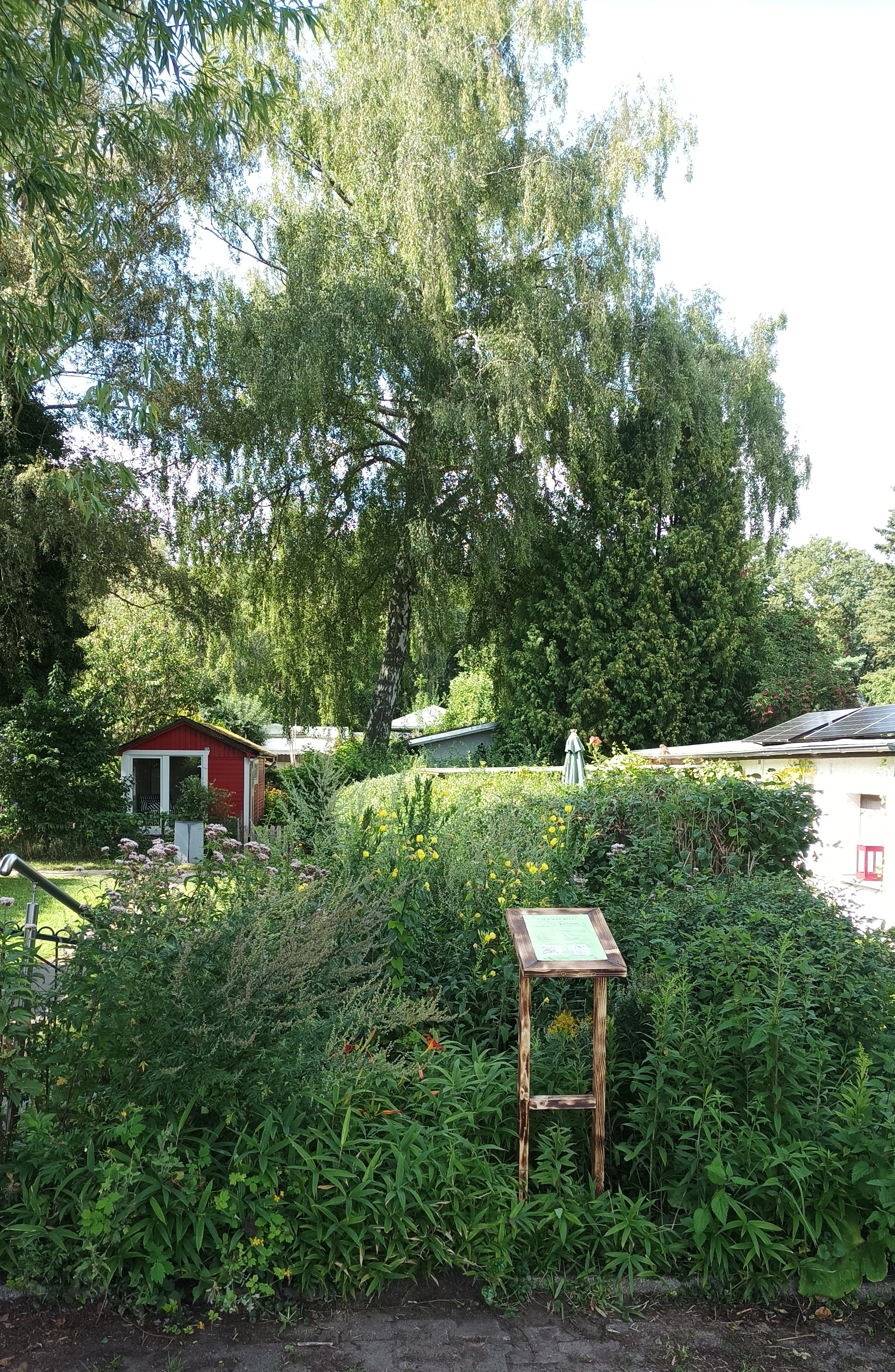 Wildes Beet